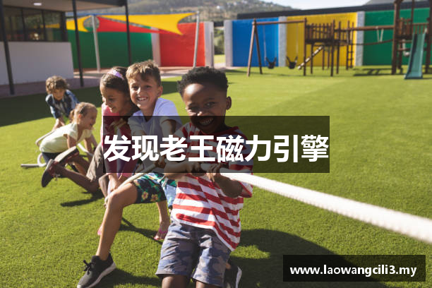 发现老王磁力引擎